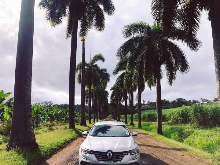 Circuits touristiques personnalisés pour découvrir les trésors de l'île